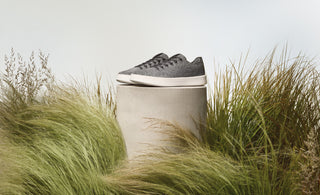 Ailemizin Yeni Üyesi: ALLBIRDS