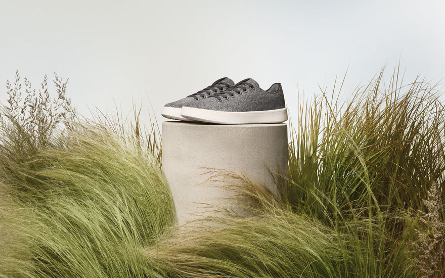 Ailemizin Yeni Üyesi: ALLBIRDS