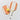 Pickleball Seti