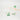 Lucite Backgammon Ombre