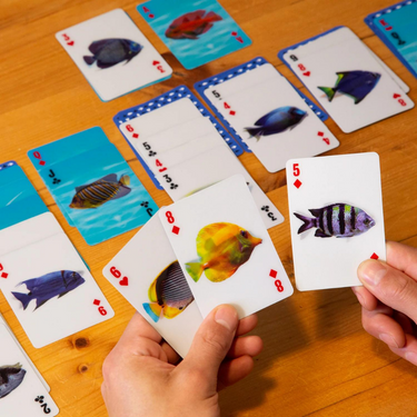 Kikkerland 3D Deniz Hayvanları Oyun Kartları