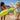 Sunnylife Inflatable Buddy Monster  2'li Şişme Deniz Oyuncağı